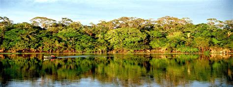 Kreuzfahrten Am Amazonas Auf Einer Segelyacht Oder Einem Katamaran Mit