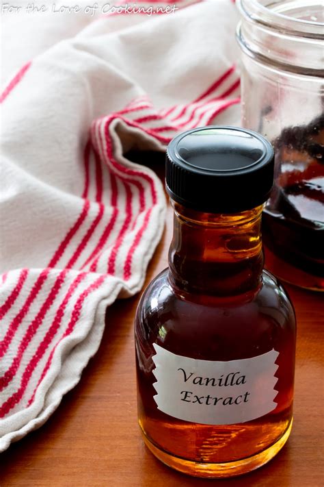 The Art Of Creating Homemade Vanilla Extract NL Today