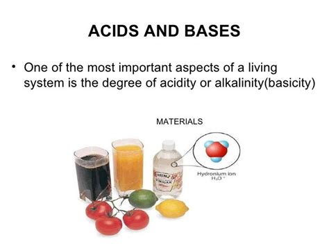 Biology Base And Acid