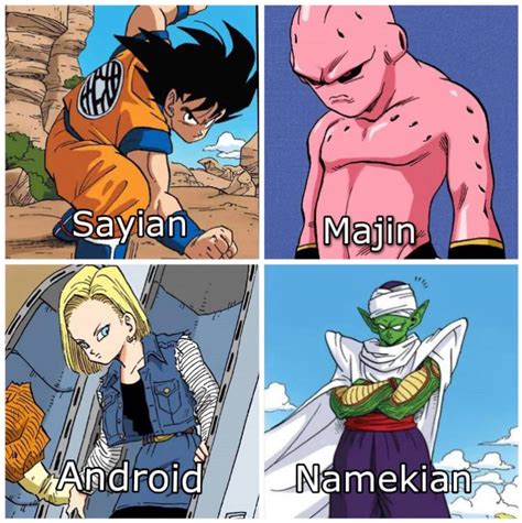 What Race Would You Be In Db R Dragonballsuper