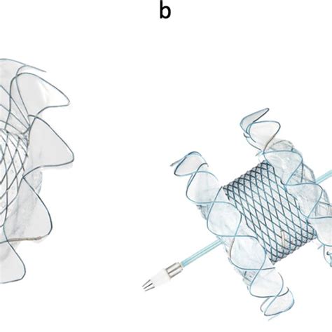 Lumen Apposing Metal Stent Axios Boston Scientific Marlborough