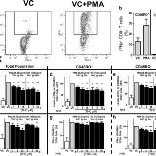 Cd Cd Il Ifn Induced Ifn Response In Cd T Cells Is Reduced By