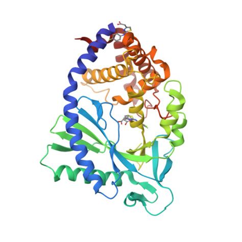 Rcsb Pdb Ftm Crystal Structure Of Human Cyclic Gmp Synthase In