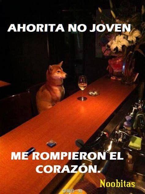 Ahorita No Joven Ahorita No Joven Know Your Meme