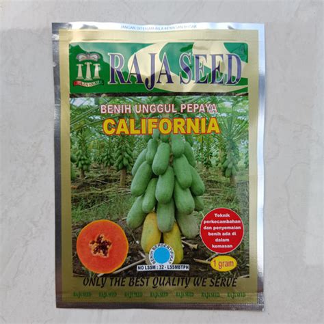 Jual Benih Pepaya California Benih Kates Raja Seed Kemasan 1 Gram Kab