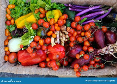 Frutas E Legumes Frescas Orgânicas Apenas Harversted Para a Venda Foto