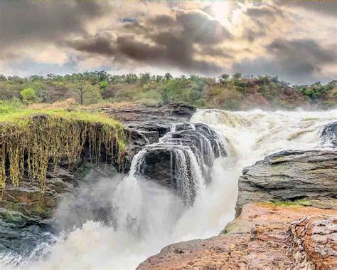 Day Wildlife Encounter In Murchison Falls National Park Game Drives