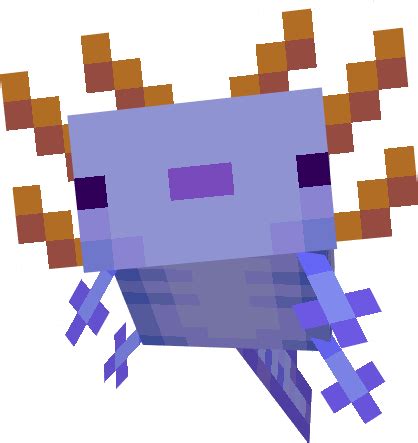 Minecraft Axolotl Rare Blue / Having an axolotl variant that shares its ...