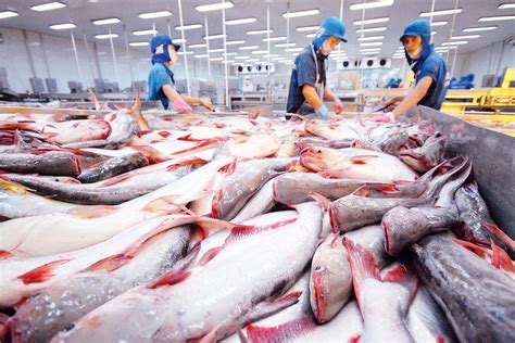 kinh doanh lao   phieu cua vinh hoan ra sao