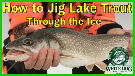 How To Jig Lake Trout Through The Ice Ice Fishing Lake George Youtube