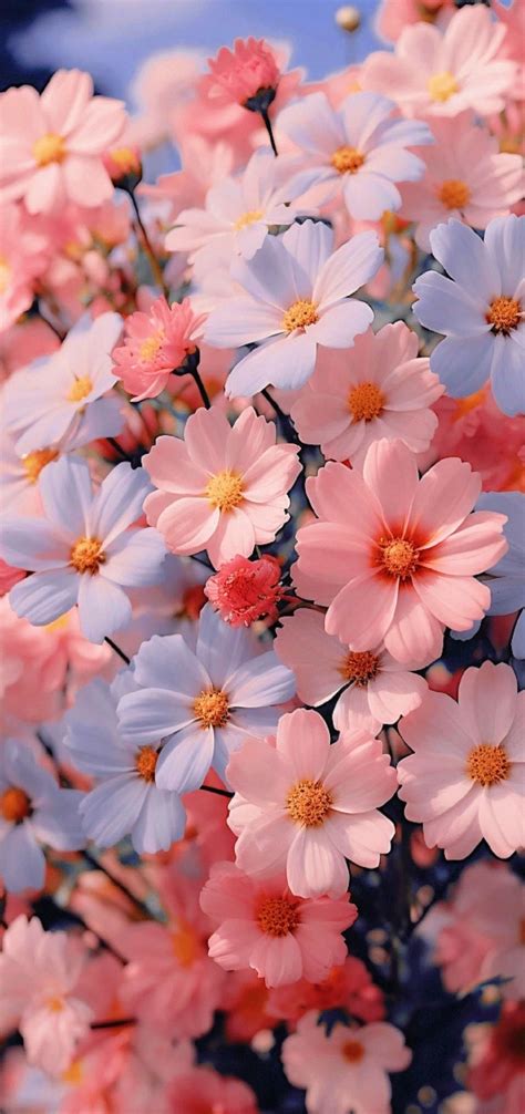 Pin By ARIN On Flower Flowers Photography Wallpaper Floral