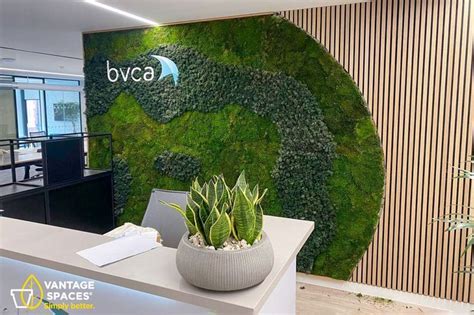 Moss EnviroWall Preserved Green Moss Walls For Interior Design