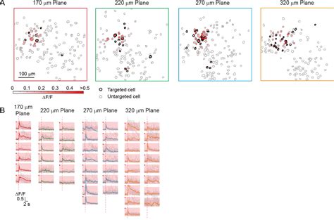 Figures And Data In Simultaneous Two Photon Imaging And Two Photon