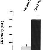 Caveolin Cav Transgenic Mice Have Elevated Levels Of Serum