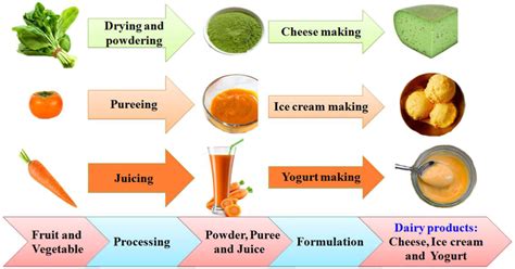 Schematic Of Fruits And Vegetables Used For The Formulation Of Dairy