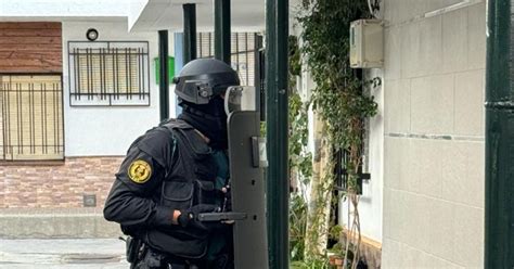 La Guardia Civil Se Incauta De Plantas De Cannabis Sativa Y De