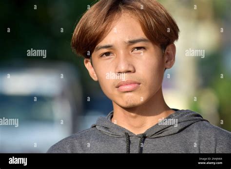 portrait   teenage southeast asian boy  brown hair