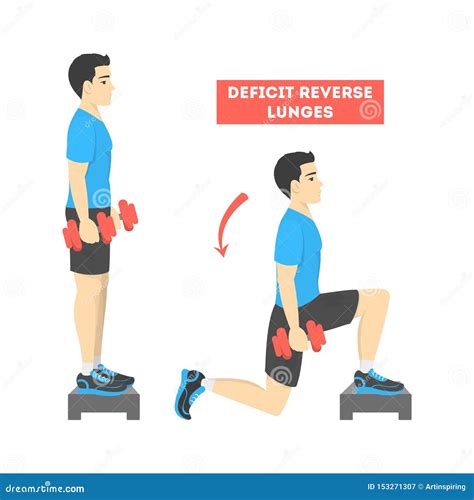 Lunges Exercise For Legs. Cartoon Vector | CartoonDealer.com #86008403