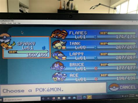 My team for the fire red elite four. First elite four of the genlocke. Wish me luck : r/nuzlocke