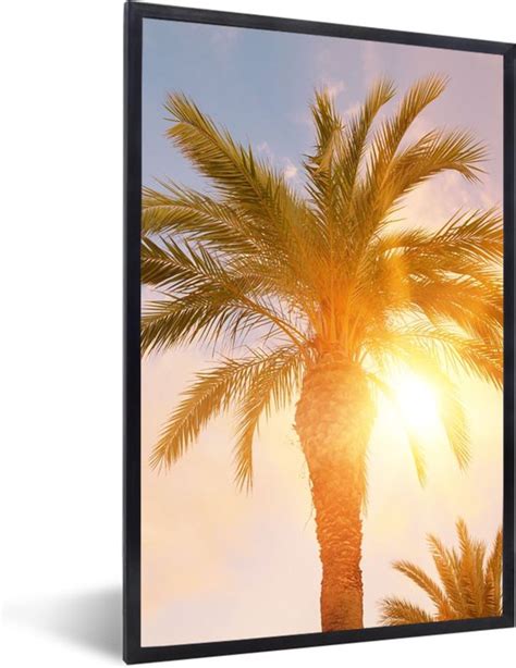 Fotolijst Incl Poster Palmboom Zomer Zon Tropical X Cm