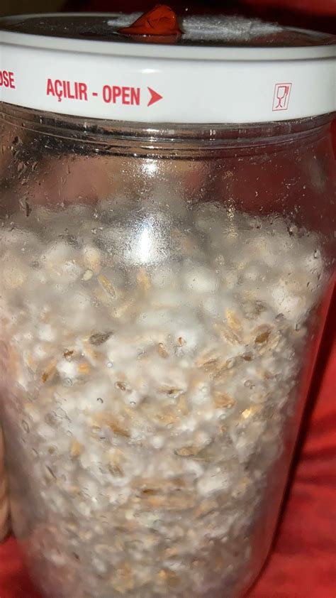 !URGENT! are these jars ok? - Mushroom Cultivation - Shroomery Message