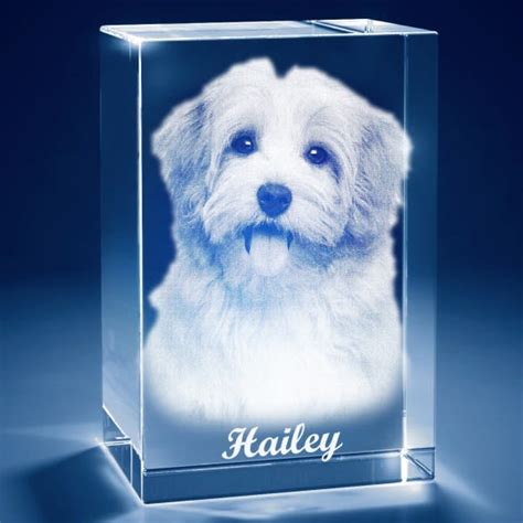 Pet Memorial D Photo Tower Crystal Keepsake Custom Photo Keepsakes