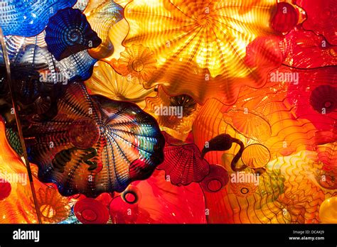 American Glass Sculptor Dale Chihuly Exhibits His Brilliant Glass Installations In The Montreal