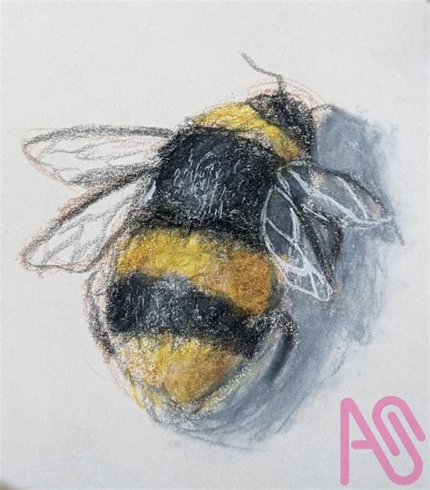 Bumble Bee Traditional Art ★ 𐌕Ꮤ𐌉Ᏽ ★ Illustrations Art Street