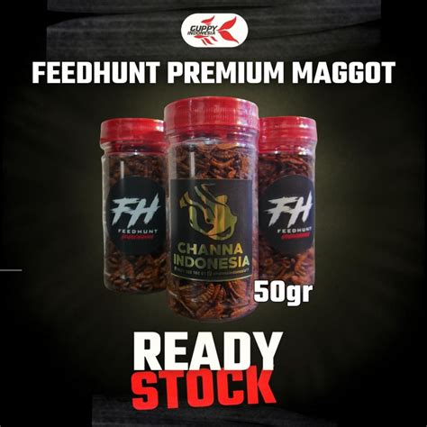 Jual FEEDHUNT MAGGOT BSF KERING PREMIUM Shopee Indonesia