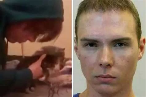 Luka Magnotta Accused Serial Cat Killer Luka Magnotta Hot Sex Picture