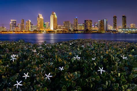 The San Diego Skyline | San Diego, California | Jared Weber Photography