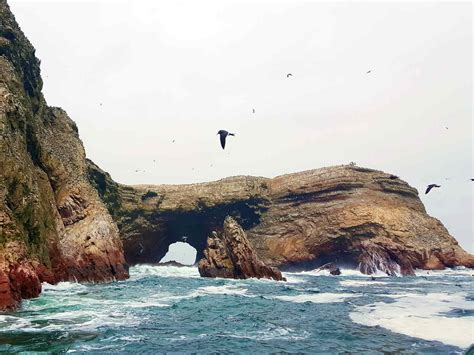 Con Tiempo Adherirse Almuerzo Islas De Ballestas Peru Cultura Recursos