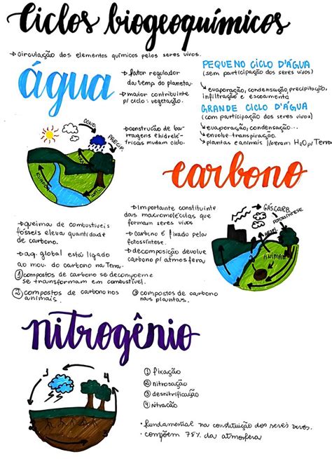 Ciclos Biogeoqu Micos Ensino De Biologia Planos De Estudo Enem