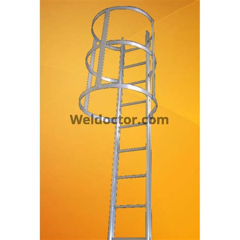 cat ladder  cage