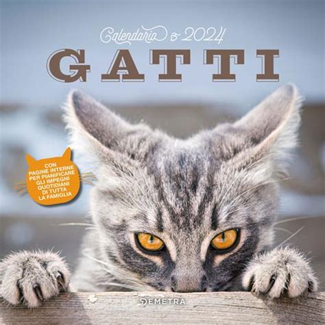 Calendario Gatti 2024 Libro Demetra 2023 Libraccio It