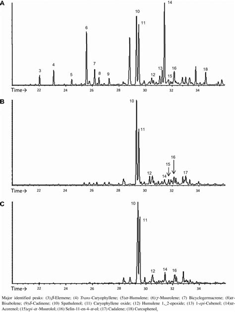 Gc Ms Chromatograms In Expanded View Of The Essential Oils From Aerial Download Scientific