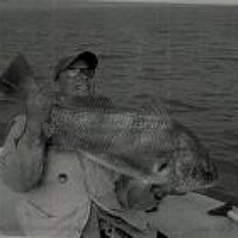 stream jack purvis  listen  songs albums playlists