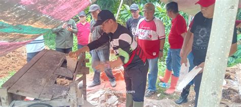 Sirajudin Tinjau Langsung Pengolahan Sagu Di Desa Tuntulow Suarasulut