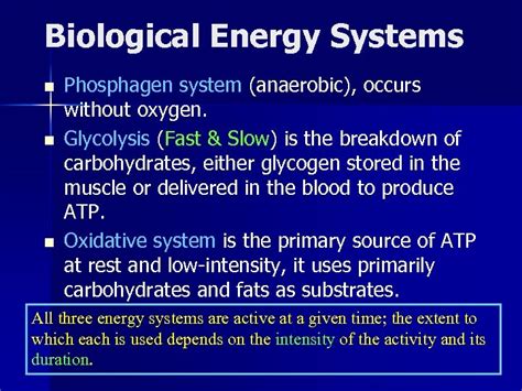 Bioenergetics Of Exercise Reading Essentials Of S C