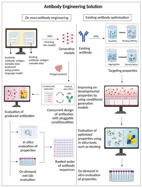 Antibody Engineering | Antibody Therapeutics | Aganitha