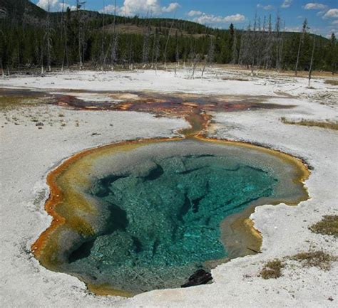 West Geyser , Sapphire Group, Biscuit Basin,far-northwestern Upper ...