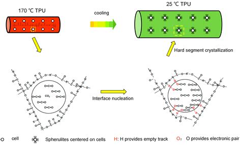 Polymers Free Full Text Influence Of Tpueva Phase Morphology