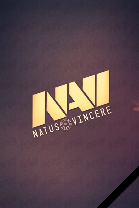 TI4 TI 2014 The International 2014 Natus Vincere Na Vi Na Vi UA