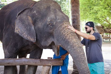 Adventure Swim with Elephants Thailand's Beautiful Landscape