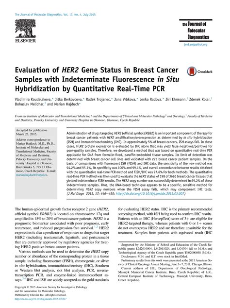 Molecular techniques - Evaluation of HER2 Gene Status in Breast Cancer ...