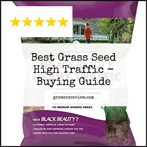 Best Grass Seed High Traffic – Buying Guide & Review - Growersreview.com