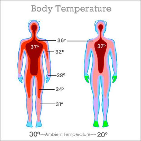 Best Reasons Behind Hot And Cold Body Temperature Swings