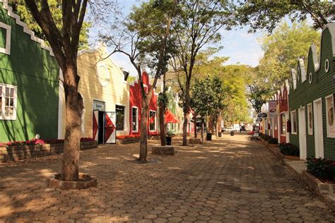 Festival de flores Expoflora de Holambra está de volta após dois anos