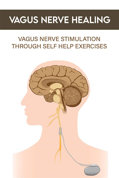 Buy Vagus Nerve Healing Vagus Nerve Stimulation Through Self Help