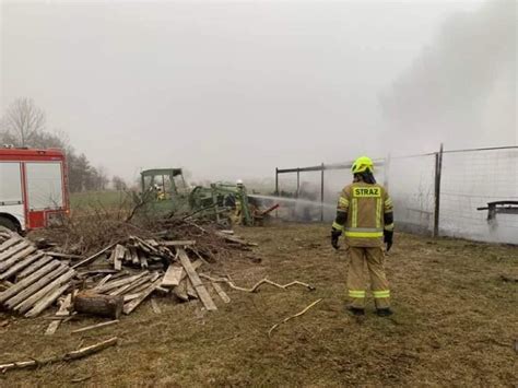 Gmina Cedry Wielkie Po Ar W Stadninie Koni S Zdj Cia Z